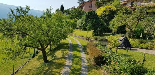 Villa Dora am Gardasee