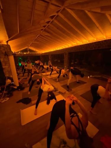 Fikri Atalay Konağı Bungalov Evleri (Fikri Atalay Konagı Bungalov Evleri) in Mengen