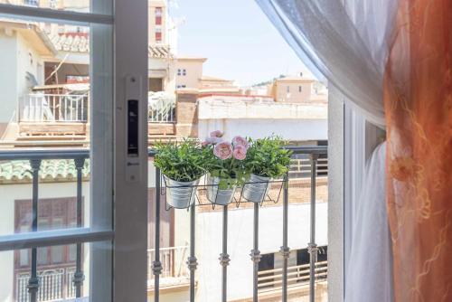 Acogedor y céntrico apartamento, Málaga (fotografie 11)