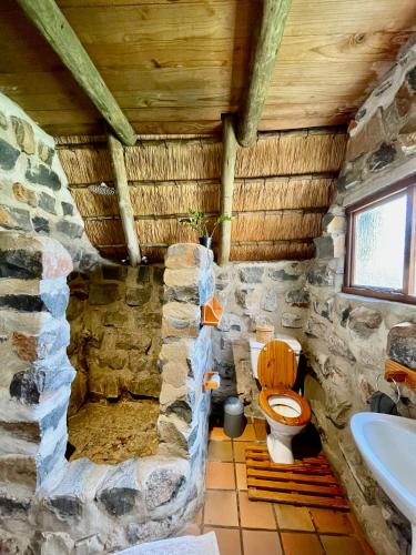 淋浴間, Tugela River Lodge in 溫特頓