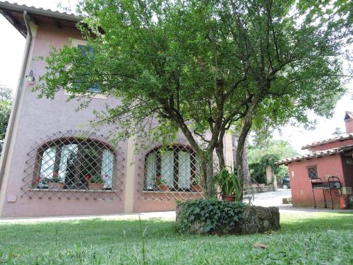  Holiday home Il Casale, Pension in Frascati