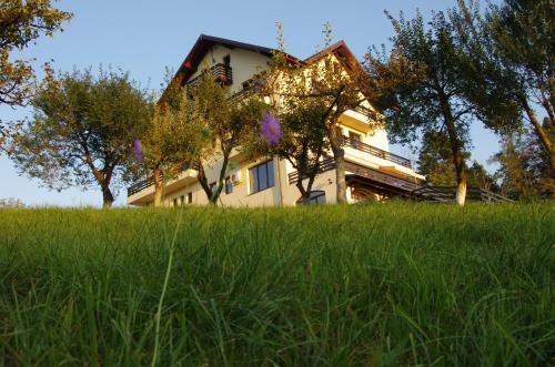 Pensiunea Toscana - image 10