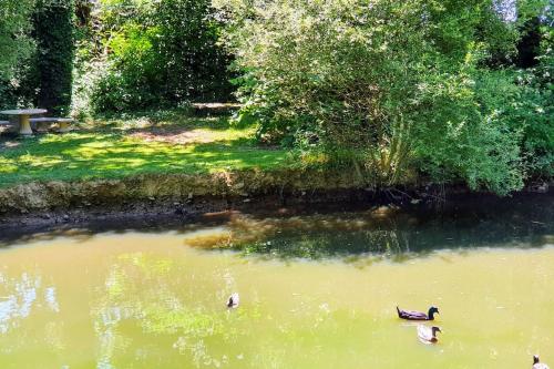 Tout le confort au milieu d'un parc botanique