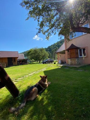 Omgivelser, Chalet Зоряні ночі in Mykulytsjyn