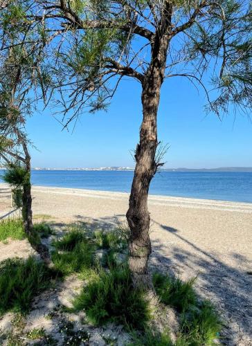 Les Bruyères - Location saisonnière - Martigues