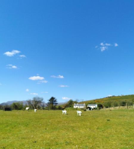 New Listing - Ladybird Cottage - Donegal - Wild Atlantic Way