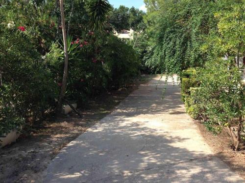 Отдельный этаж-апартаменты в традиционном испанском доме Отдельный этаж-апартаменты в традиционном испанском доме