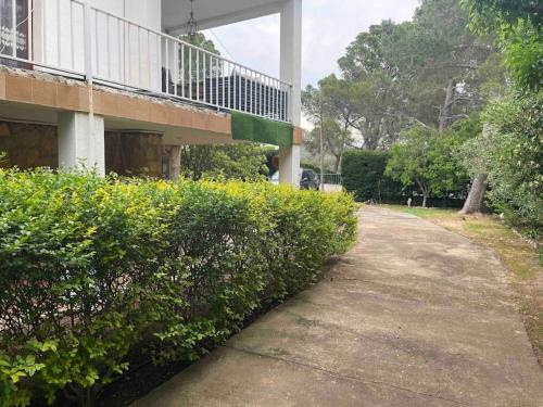 Отдельный этаж-апартаменты в традиционном испанском доме Отдельный этаж-апартаменты в традиционном испанском доме