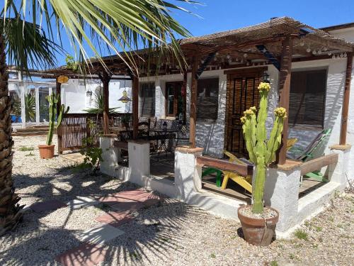  Spacious House with Private Pool in Torre Pacheco in Torre-Pacheco