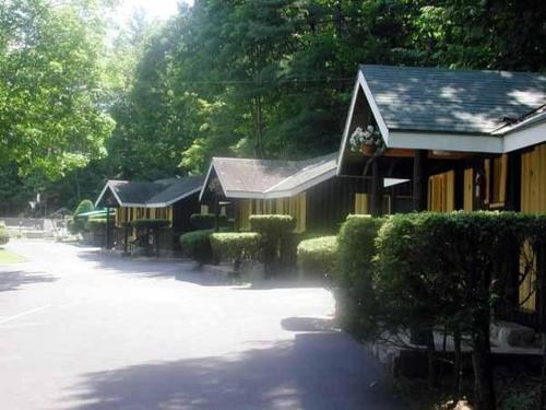 Amber Lantern Efficiency Cottage in Lake George, USA