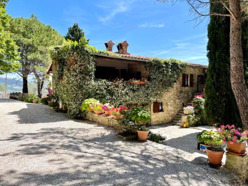 La Panoramica Gubbio - Maison de Charme - Casette e appartamenti self catering per vacanze meravigliose!