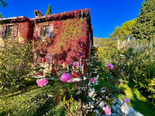 La Panoramica Gubbio - Maison de Charme - Casette e appartamenti self catering per vacanze meravigliose!