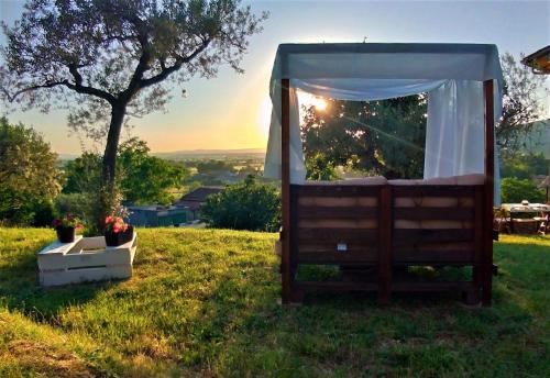 Omgivelser, La Casa Tra Gli Ulivi in Sodo