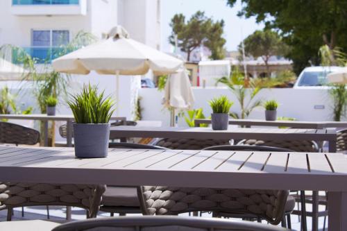 Kapetanios Bay Hotel - image 13