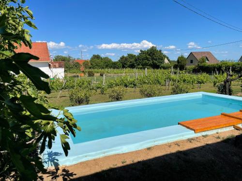 Swimmingpool, Füge Vendégház (Fuge Vendeghaz) in Alsóörs