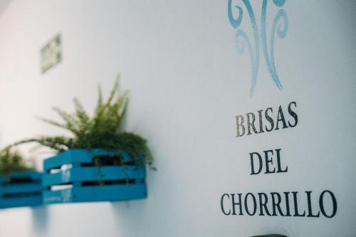 Hostal Brisas de Conil - main image