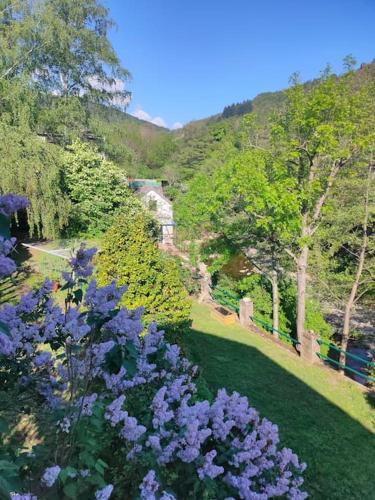 Le Secret du Moulin, agréable tiny house Villefort