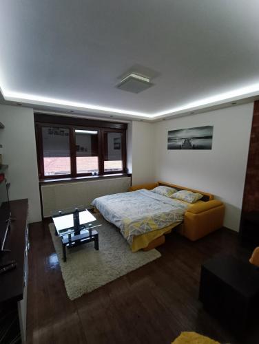 Leon - Apartment - Gornji Milanovac