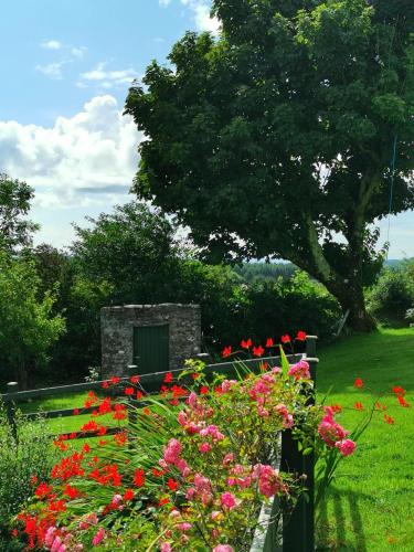 New Listing - Ladybird Cottage - Donegal - Wild Atlantic Way