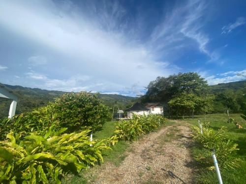 San Juan de los Guayabos