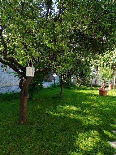  Dimora Damare in Caronia Marina