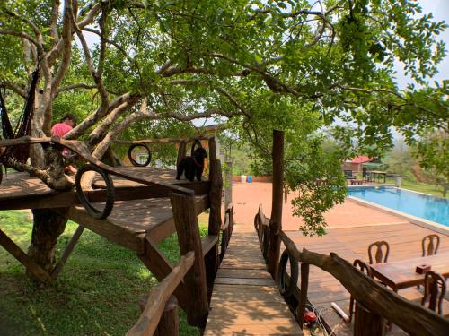 Nature Lodge