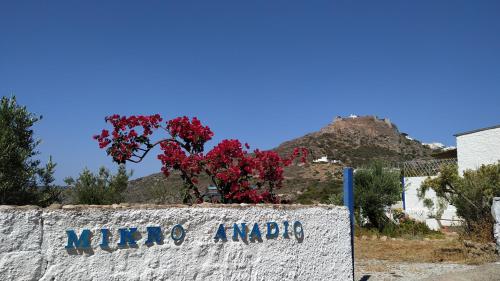 Μικρό Ανάδιο - Location saisonnière - Kapsálion