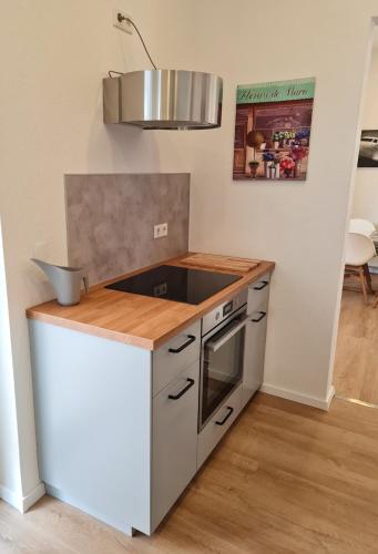 Burgunder - helle und ruhige Wohnung in Uninähe, Mohuč (fotografie 6)