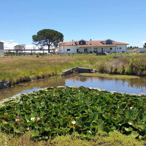 Quinta Coração d'Ouro