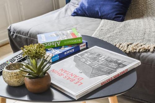 R-Appartements Strasbourg Fenêtresurkrut appartement 2 à 4 personnes centre-ville, Strasburg (zdjęcie 8)