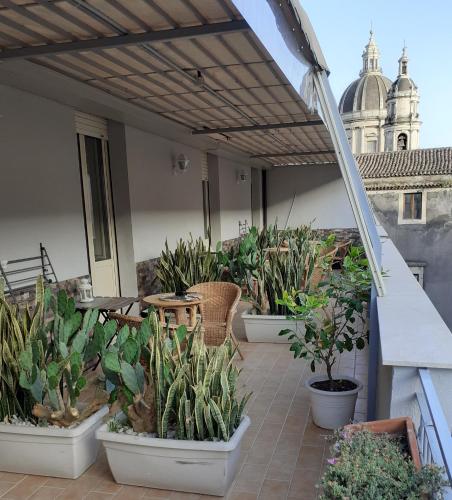 Altan/terrasse, Casa Provenza in Catania