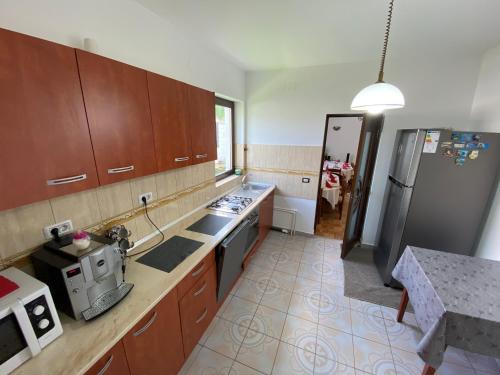 Pensiunea Casa Pancu in Čelau