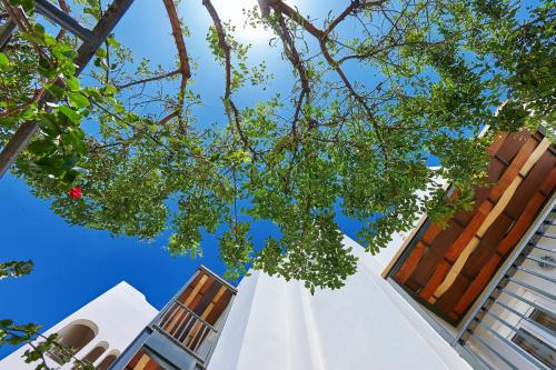 Arminda Hotel & Spa - image 3