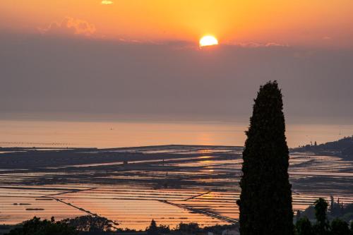 Casa Coronica Casa Coronica