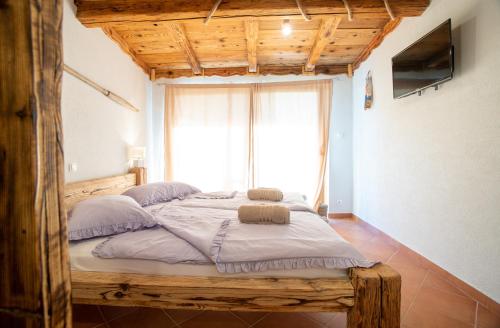 Casa Coronica Casa Coronica