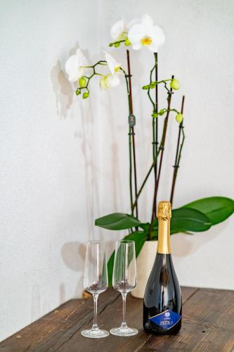 Casa Coronica Casa Coronica