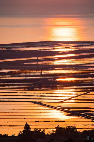 Casa Coronica Casa Coronica