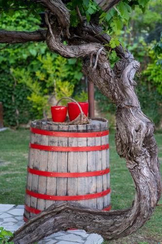 Casa Coronica Casa Coronica