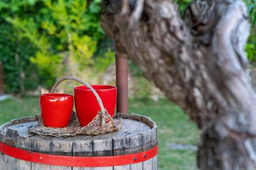 Casa Coronica Casa Coronica