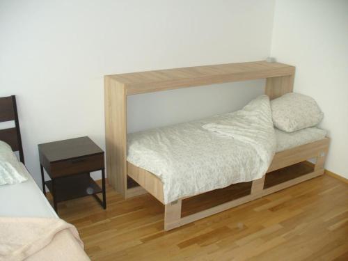 Garden apartment with garage in central Prague, Praga (foto 7)