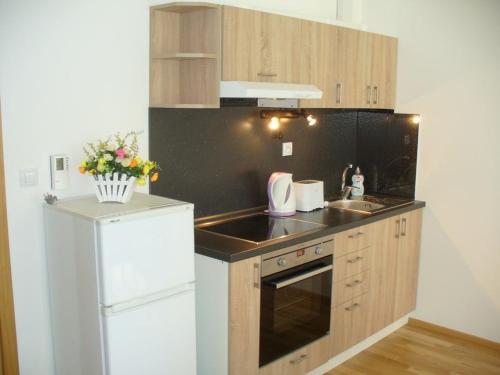 Garden apartment with garage in central Prague, Praga (foto 11)
