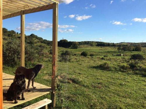 Bungalow de campo Torero - sierras, naturaleza y relax in มินาส
