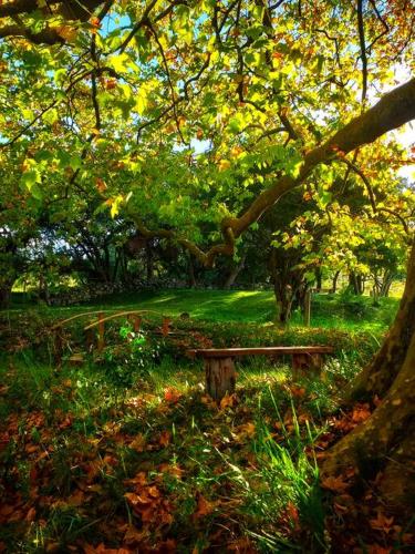 Bungalow de campo Torero - sierras, naturaleza y relax in มินาส