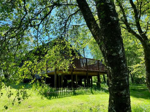 Fern Lodge in Inverinan Beag