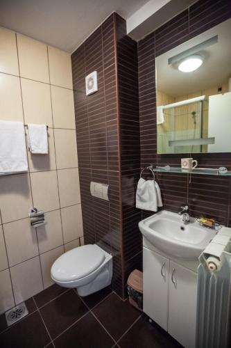 Vila Plamenac - image 6