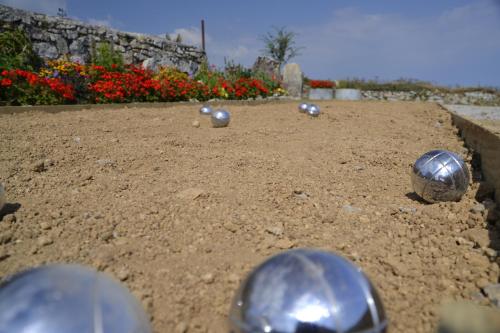 Fig Tree House - image 8