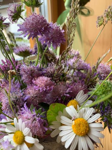 金特霍夫酒店 金特霍夫酒店