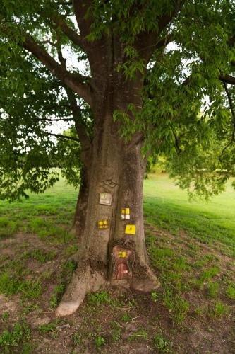 all'ombra del Bagolaro gîte à louer Taglio di Po