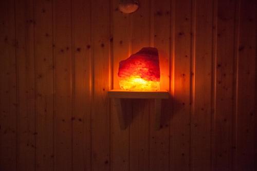 Vila Plamenac - image 12