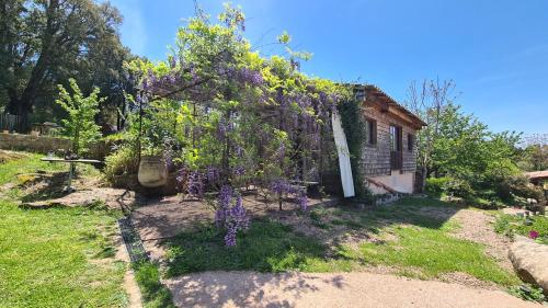 B&B Carbuccia - A Cantina Chalet avec Piscine proche d Ajaccio - Bed and Breakfast Carbuccia